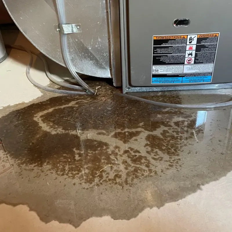 Pipe Burst and Leak Restoration in West Point, NY