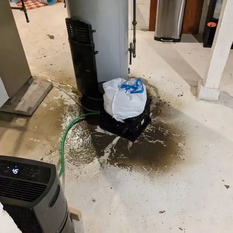 Sewage Backup Cleanup Service in West Point, NY